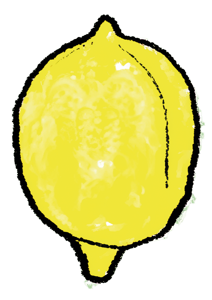 Limoncello ØKO (50cl)