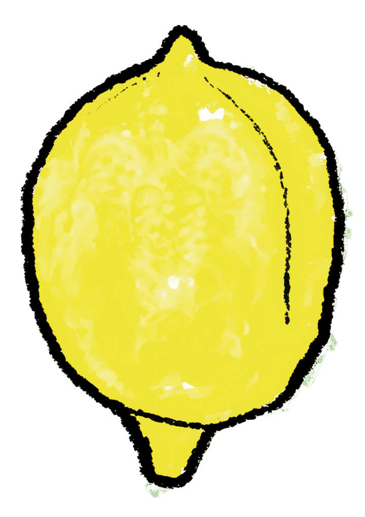 Limoncello ØKO (50cl)