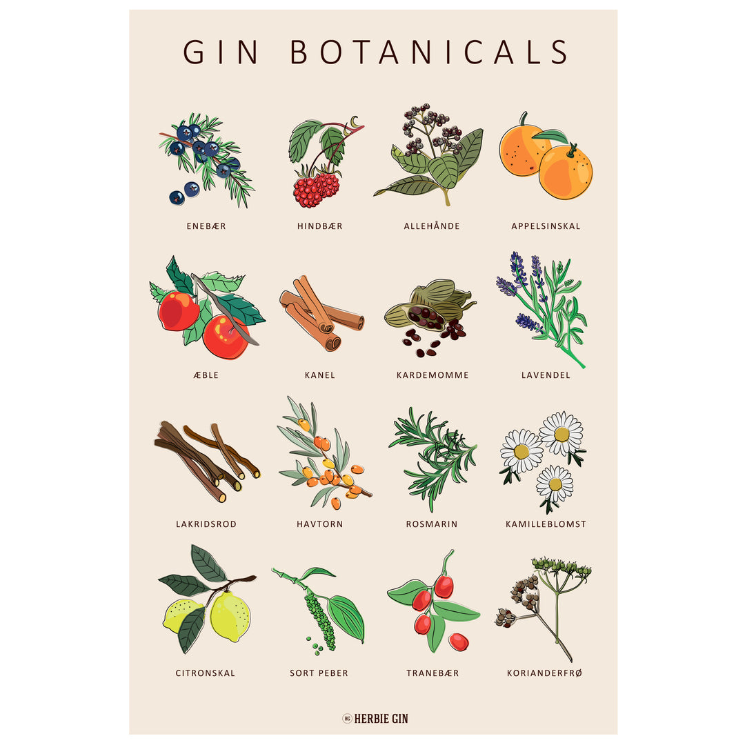 Gin plakat