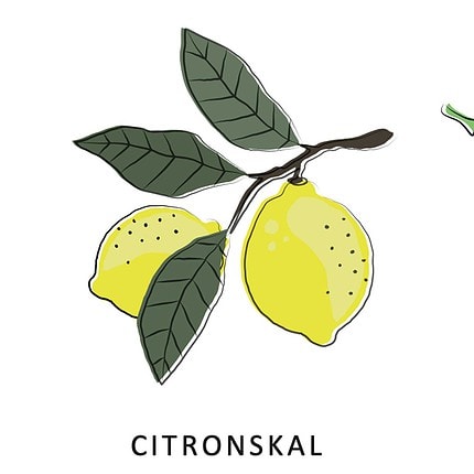 ginplakat (citronskal)
